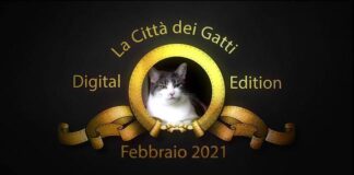 La Città dei Gatti 2021, digital edition: il programma la città dei gatti 2021