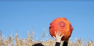 Satelliti, Larocca: “Una canzone sospesa, tra le nuvole, e li vuole rimanere” larocca