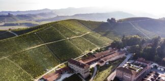 Il vino “verde” di Fontanafredda, simbolo di rinascita all’insegna della sostenibilità. Andrea Farinetti: “Il nuovo è rimettere la terra al centro”