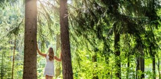 L’anima green di Bressanone nella Giornata Internazionale delle Foreste