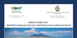 La Guardia Costiera presenta il Rapporto annuale sul controllo pesca in Italia – anno 2020