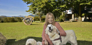 I cani antiveleno dei Carabinieri tra i protagonisti in tv