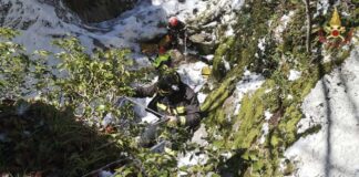 Salvato un cane caduto in un dirupo a San Gregorio Matese (CE) caserta salvataggio cane