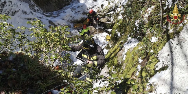 caserta salvataggio cane