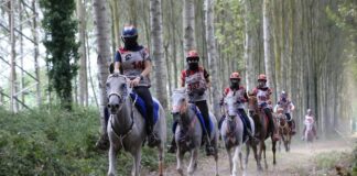 Longines FEI Endurance World Championship 2021 endurance