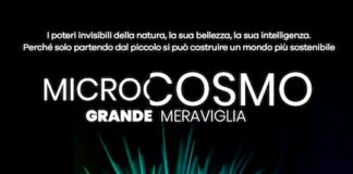 Microcosmo – Grande Meraviglia, in prima visione streaming su Nexo+ microcosmo poster