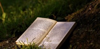 Libri da leggere: i consigli di maggio 2021