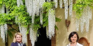 Tredozio, Dimore Storiche: Vietina su valorizzazione di Palazzo Fantini tredozio