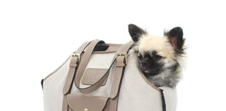 Poline, una borsa per l’amico a quattro zampe da Pupakiotti borsa pupakiotti grigia