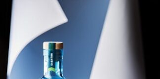 Due cocktail per l’estate 2021 da Sabatini: le ricette ginofizz ambientato