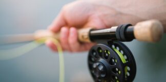 Il pescatore e sua moglie: una fiaba per bambini pescatore