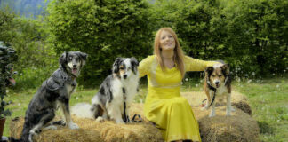 Gli animaletti del bosco del Cras dei Carabinieri protagonisti in tv