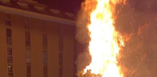 Falò di San Giovanni a Genova, Toti: “Momento di ripartenza fondamentale” toti_san_giovanni