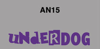 Intervista ad AN15, un’artista a tuttotondo underdog an15