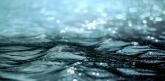 Risparmiare l’acqua in casa, ecco dieci consigli utili water