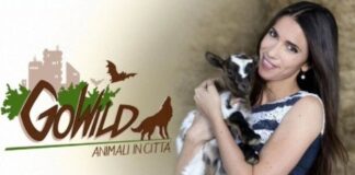 “Go Wild – animali in città”, la serie tv live action dedicata alla fauna urbana