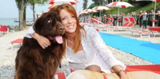 Abbandono dei cani durante l’estate 2021, l’appello della Brambilla brambilla spiaggia cani