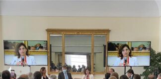 Misure per l’export, Castelli su strumenti utilizzati e ambiti dove puntare castelli facebook