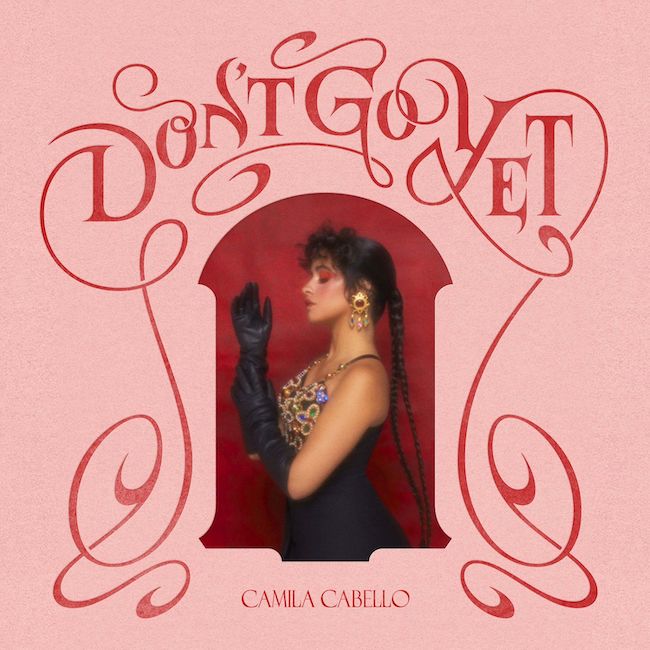 don't go cover Camila Cabelo