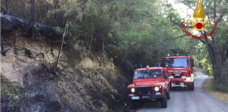 Incendio di bosco a Borghi, otto mezzi impiegati per domare le fiamme incendi forli-cesena