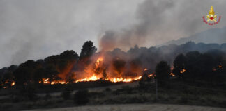 Incendi di vegetazione nel palermitano, intervenuti anche due canadair incendi palermitano