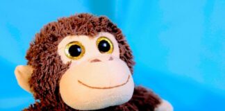 “Il ritorno dell’onda”, il nuovo ep di Pacomonkey. L’intervista pacomonkey