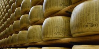 Formaggi italiani nel mondo, cresce l’export verso l’USA parmigiano reggiano