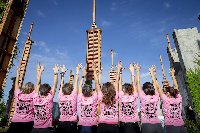 pink ambassadors