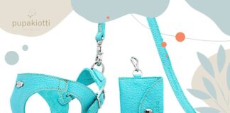 Accessori per cani, da Pupakiotti la nuova collezione SS21 pupacchiotti
