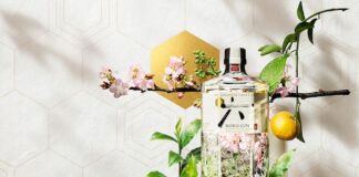 Roku Gin, nuova campagna di comunicazione del gin giapponese roku gin