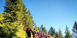 Scenario di montagna, il festival estivo tra le montagne piemontesi scenario montagna