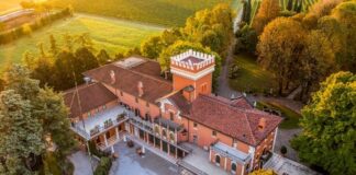 Friulano e Cabernet Franc medaglia d’argento al Decanter 2021 tenute tomasella
