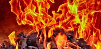 Incendi in Italia, oltre 100mila ettari l’anno in fumo secondo Confagricoltura fiamme incendio