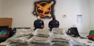 Bologna, sequestrati 22kg di marijuana: arrestata una persona gfd sequestro 22 kg marijuana