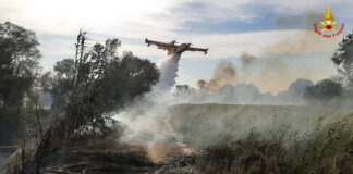 Incendi boschivi, dal 15 giugno +16mila interventi rispetto al 2020 incendi boschivi