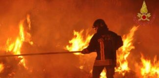 Brindisi, incendio di vegetazione in prossimità dalle spiaggia di Torre Testa incendio brindisi