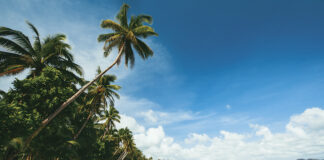 Siargao tra i World’s Greatest Place 2021 secondo Time Magazine siargao