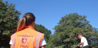 Giornata Mondiale del Cane, l’impegno delle unità cinofile del CISOM unita cinofila cisom