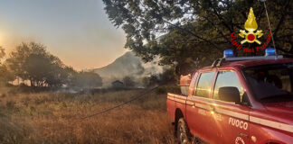 Torino, incendio di vegetazione: intervento dei VdF a San Giorio vdf san giorio
