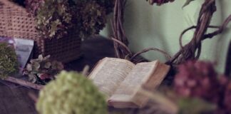 Libri da leggere: i consigli di settembre 2021 Leggi con me rubrica libri