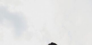 La nuova veste green della Master Legacy di Moaconcept modella master legacy