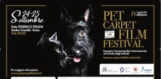 Pet Carpet Film Festival 2021: rassegna del cinema sugli animali a Roma pet carpet film festival 2021