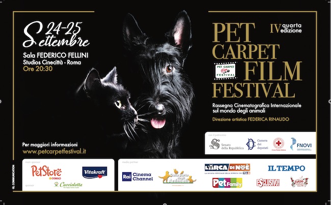 pet carpet film festival 2021