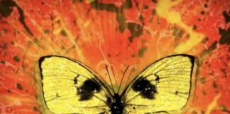 Classifica canzoni del momento Settembre 2021: hit parade top 20 shivers