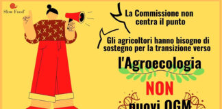 Slow Food: “Fuori gli Ogm dai nostri campi e dalle nostre tavole!”