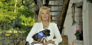 I falchi di Atena, la volpe Fred e la signora dei piccioni protagonisti in tv