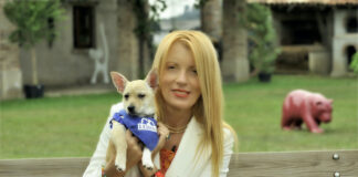 I cani anti-esplosivo e i baby ricci protagonisti in tv: ecco quando