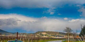 GdF Verona, contrasto a lavoro in nero e sfruttamento manodopera gdf verona