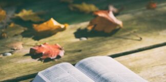 Krasznahorkai vince il Nobel 2025: l’arte nell’apocalisse libri consigli leggi con me ottobre