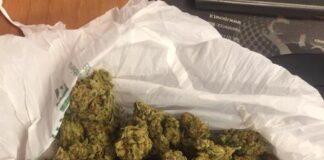 Enna, trovata in possesso di oltre un chilogrammo di marijuana: arrestata marijuana sequestrata